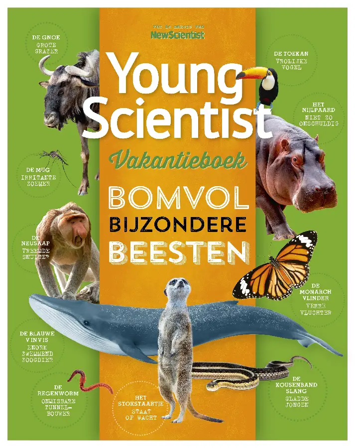 Young scientist vakantieboek / Zomer 202