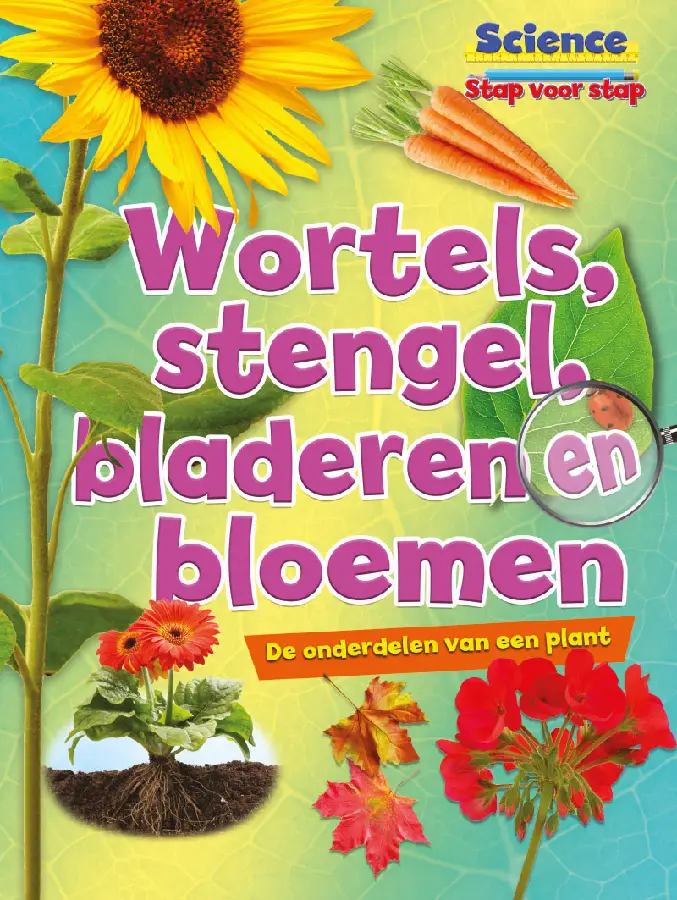Wortels, stengels, bladeren en bloemen