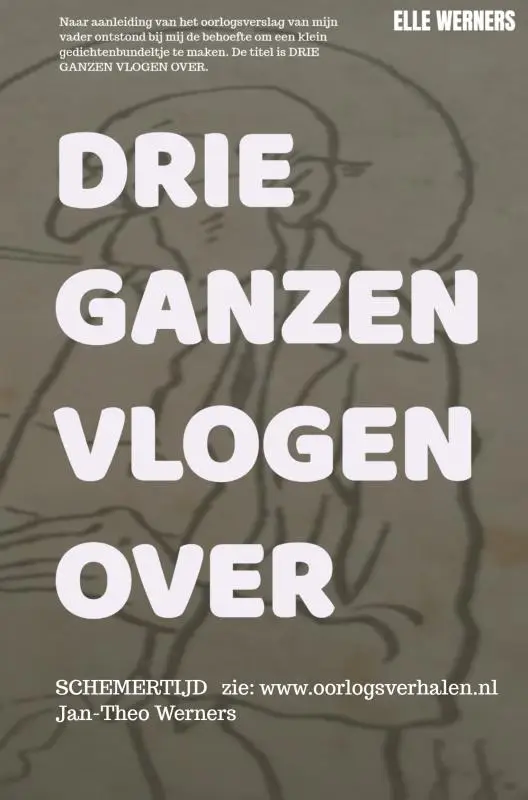 DRIE GANZEN VLOGEN OVER