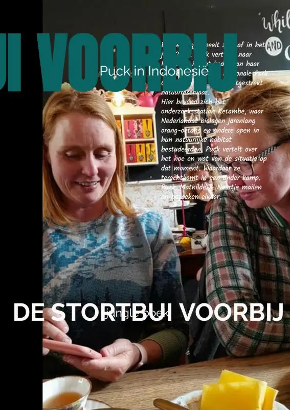 DE STORTBUI VOORBIJ