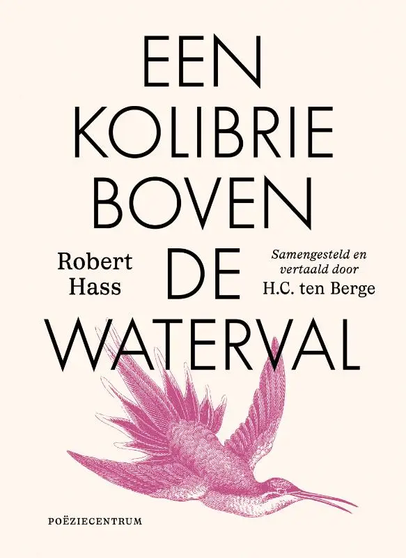 Een kolibrie boven de waterval