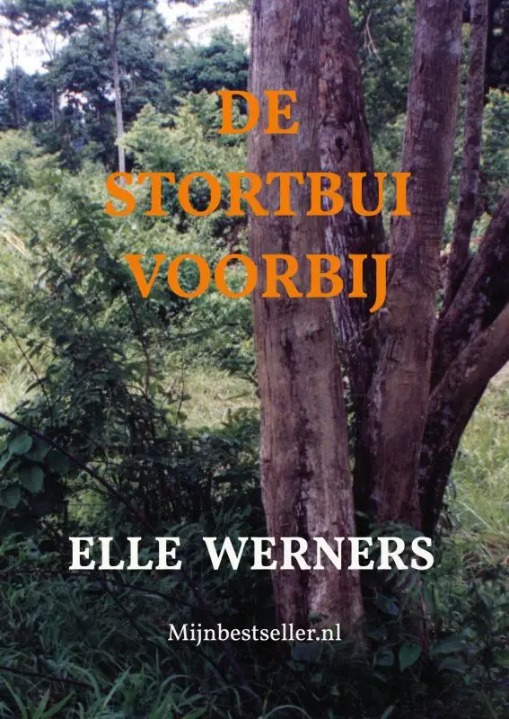 DE STORTBUI VOORBIJ