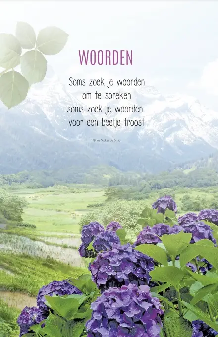 Wenskaart woorden
