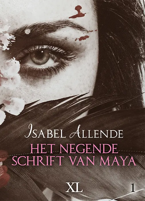 Het negende schrift van Maya - grote letter uitgave