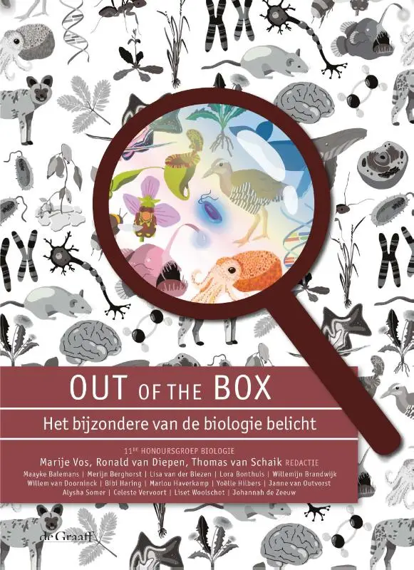 Out of the Box
