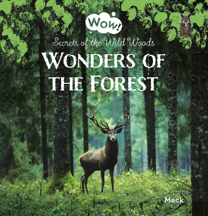 Wonders of the Forest