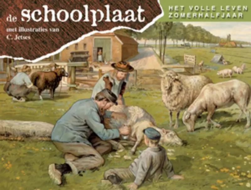 Schoolplaat het volle leven zomerhalfjaar