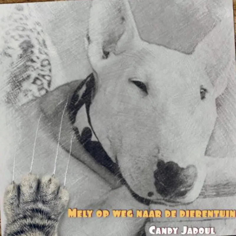 Mely op weg naar de dierentuin