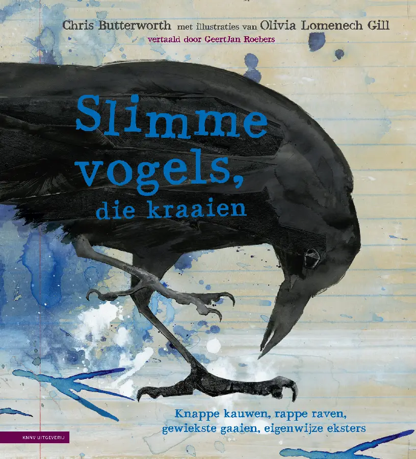 Slimme vogels, die kraaien