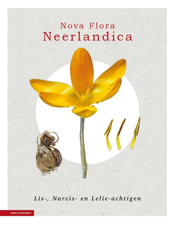 Nova Flora Neerlandica deel 3 - Lis-, Narcis- en Lelieachtigen