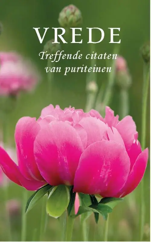 Pareltje vrede