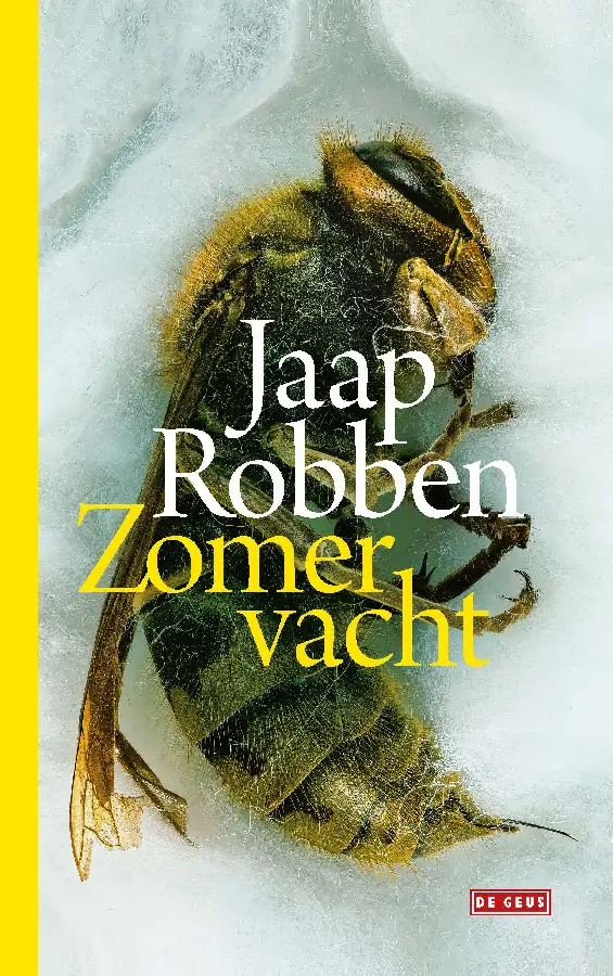 Zomervacht