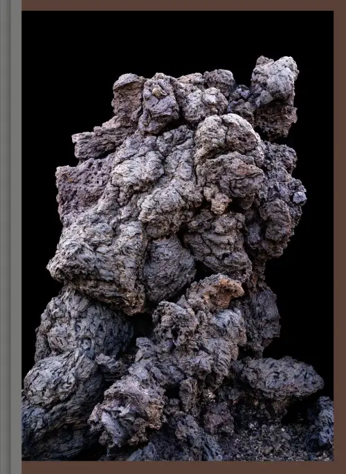 Imaginary Ecologies