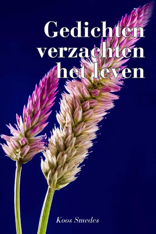 Gedichten verzachten het leven