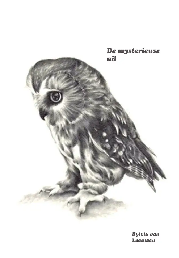 De mysterieuze uil