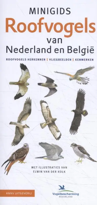 Minigids Roofvogels