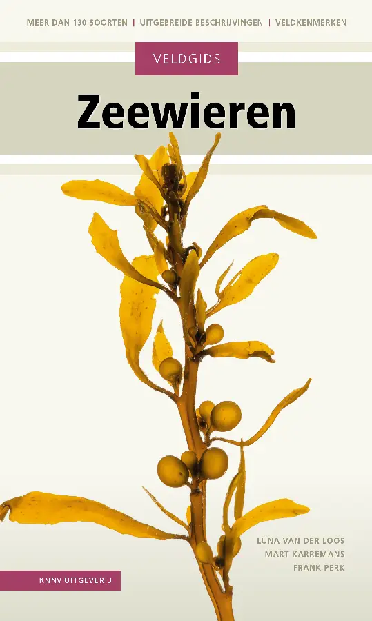 Veldgids Zeewieren