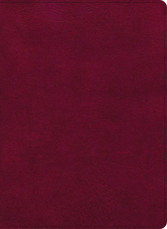 CSB - Holy Land Illusdtrated Bible