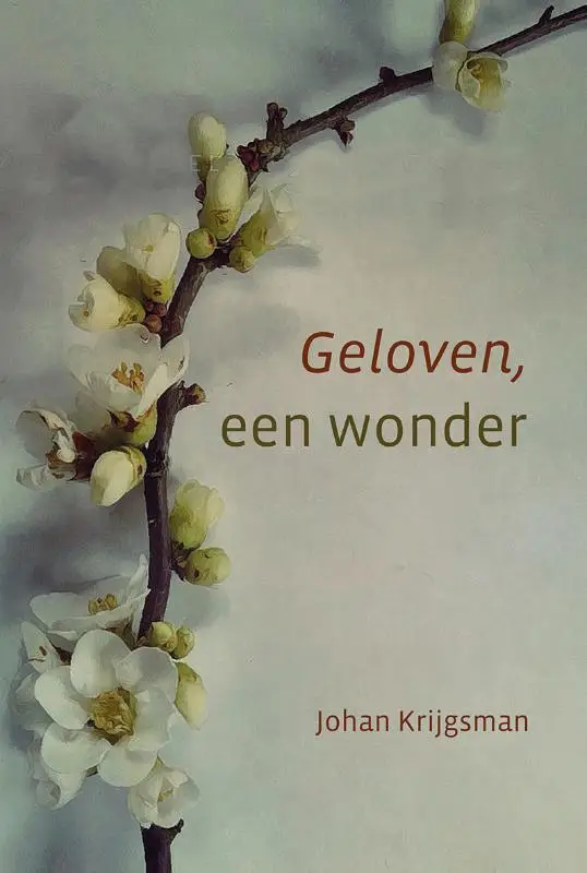 Geloven een wonder