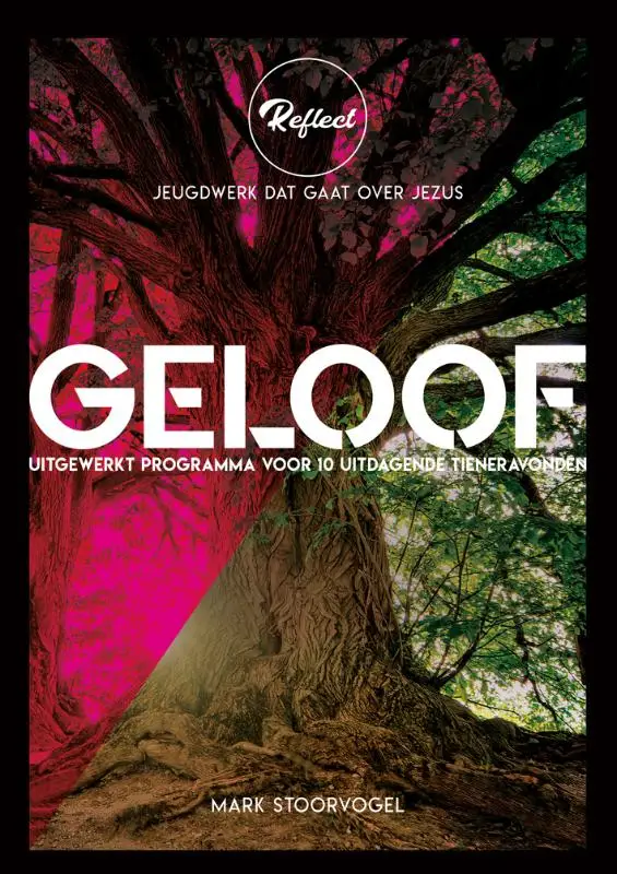 Reflect - Geloof