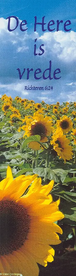 Boekenlegger richteren 6:24