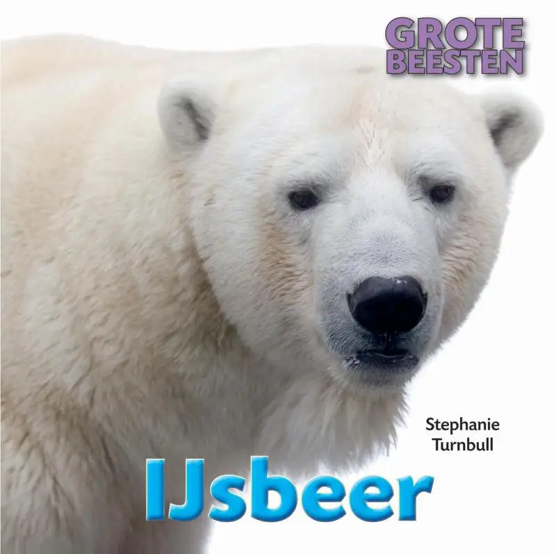 IJsbeer
