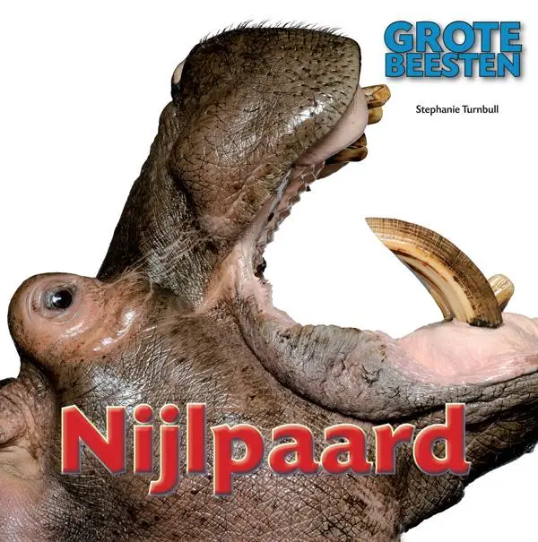 Nijlpaard