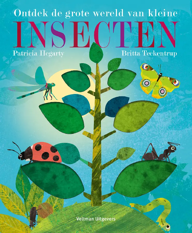 Ontdek de grote wereld van kleine insect