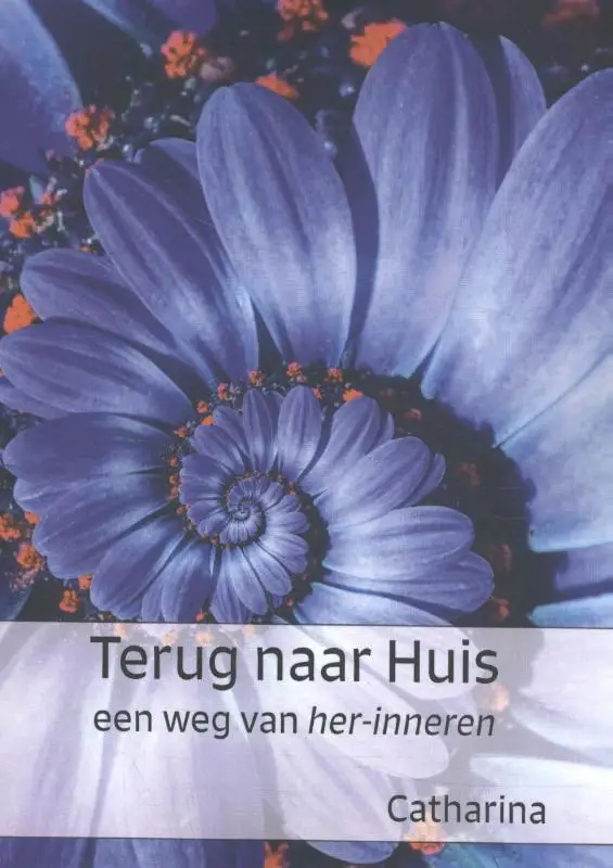 Terug naar huis
