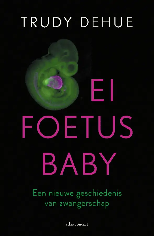 Ei, foetus, baby