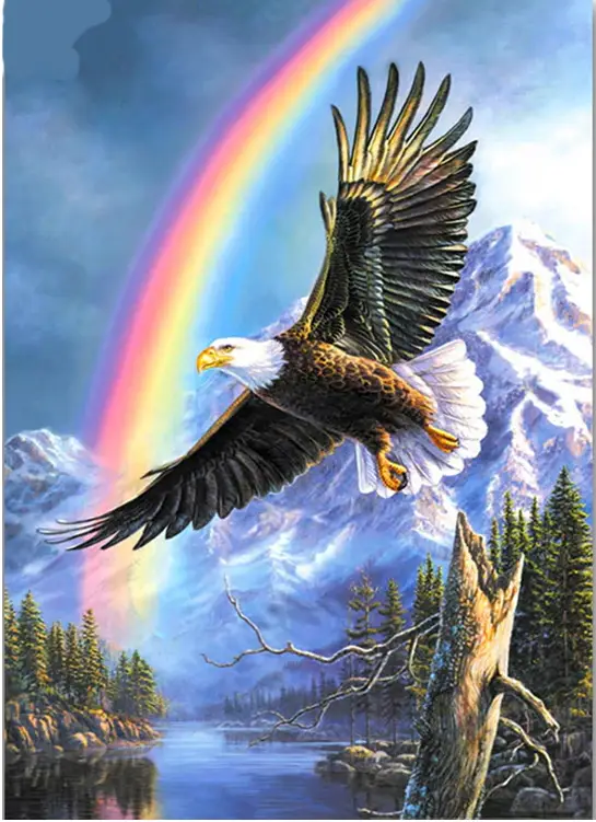 Eagle Rainbow 40x50cm Square drill