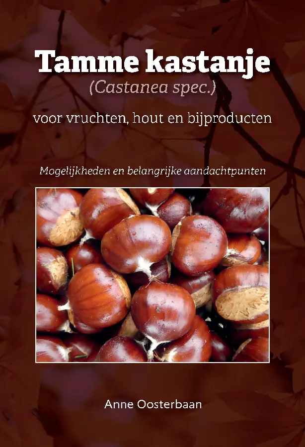 Tamme kastanje (Castanea spec.) voor vruchten, hout en bijproducten