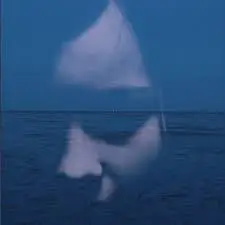 Voyage 31