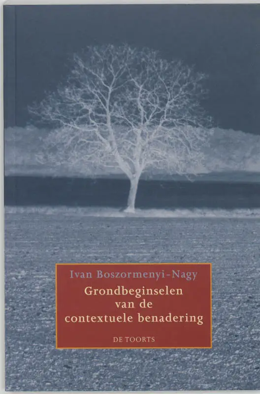 Grondbeginselen van de contextuele benad