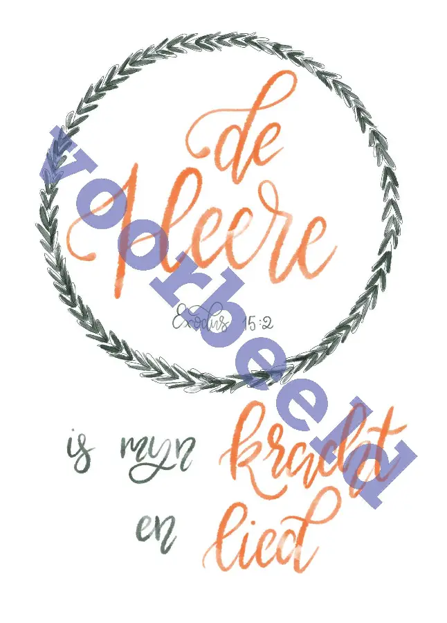 Ansichtkaart vintage 80-35