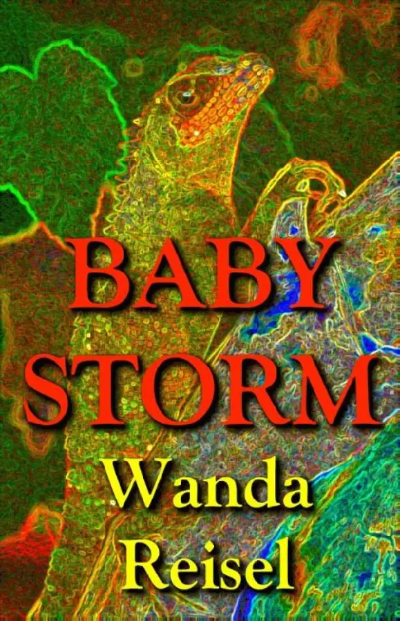 Baby Storm