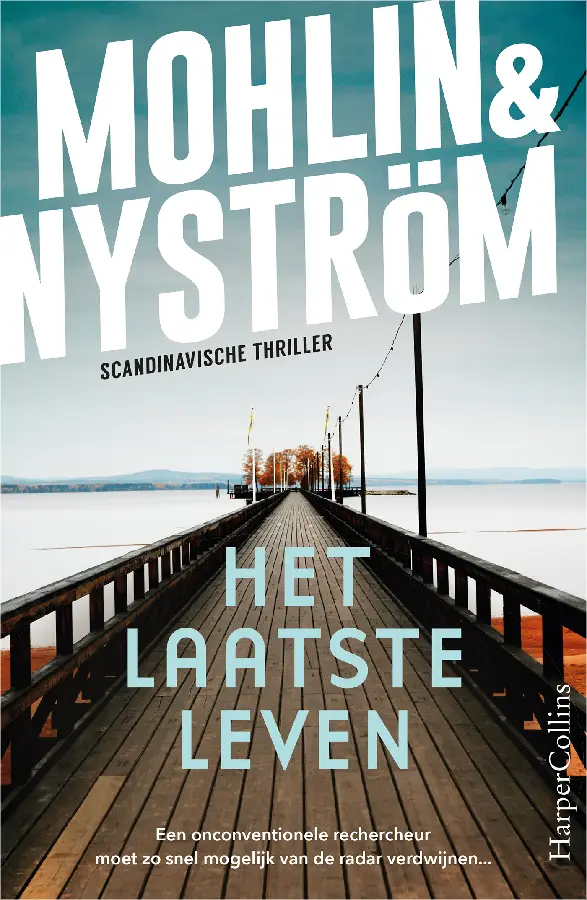 Het laatste leven