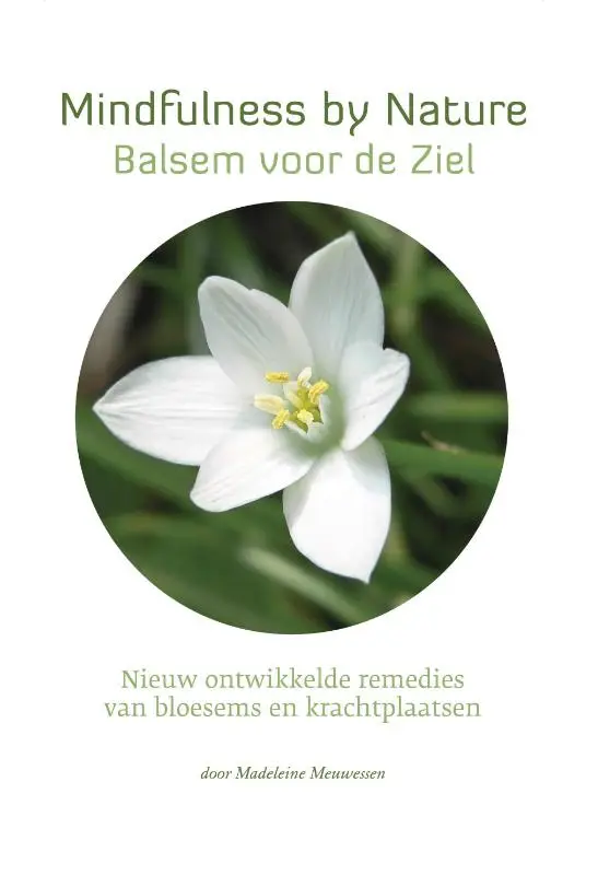 Star Remedies - Mindfulness by Nature - Balsem voor de Ziel