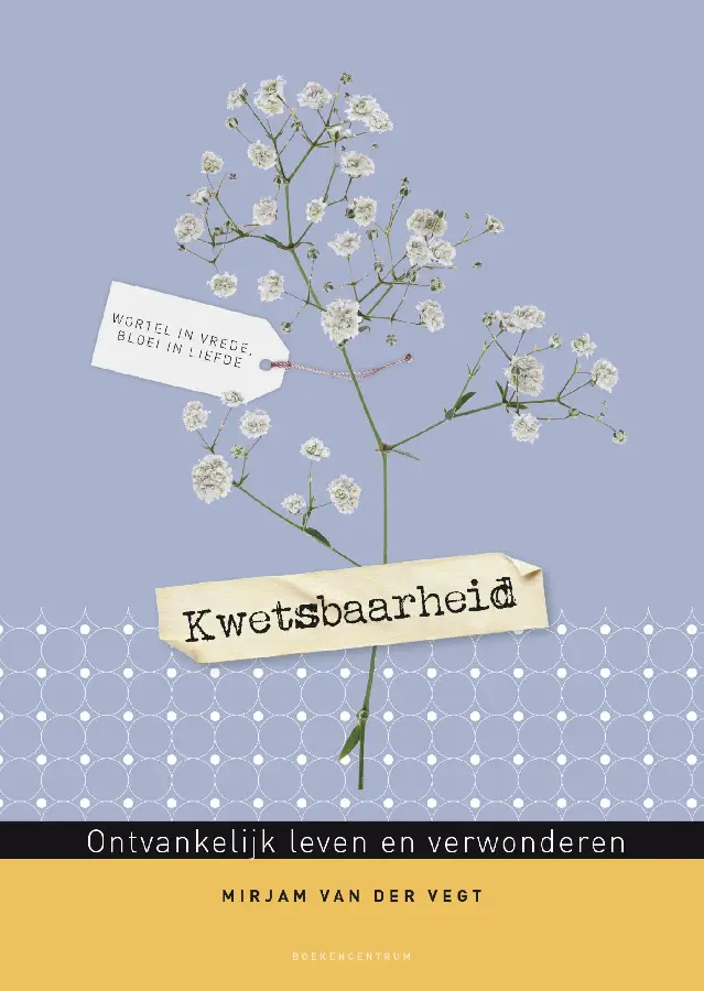Kwetsbaarheid