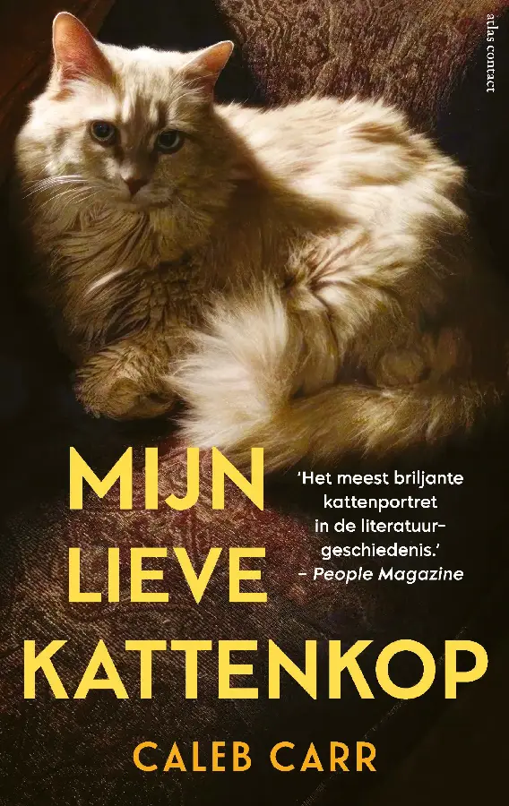 Mijn lieve kattenkop