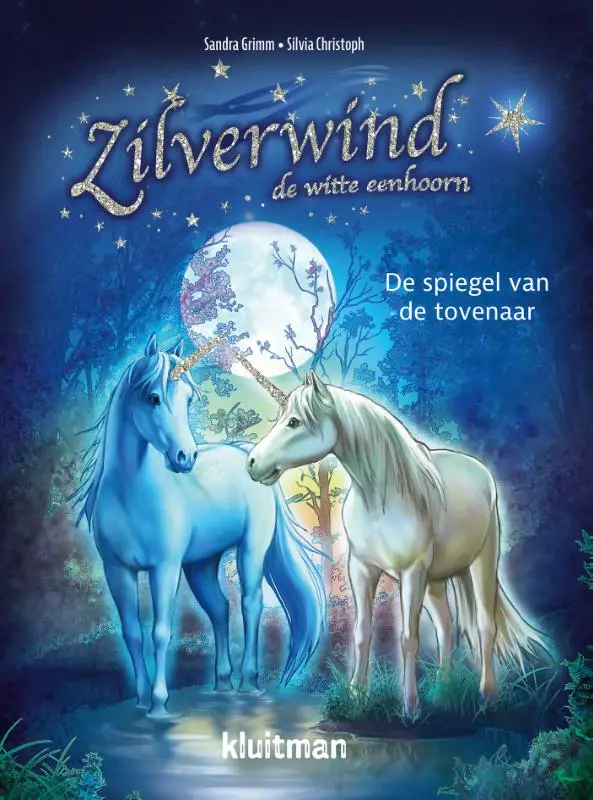 Spiegel van de tovenaar