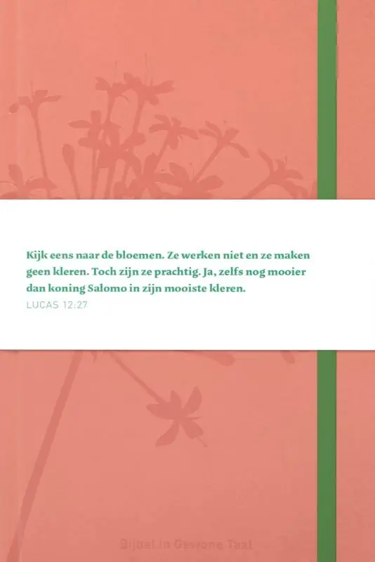 Bijbel in Gewone Taal compact roze