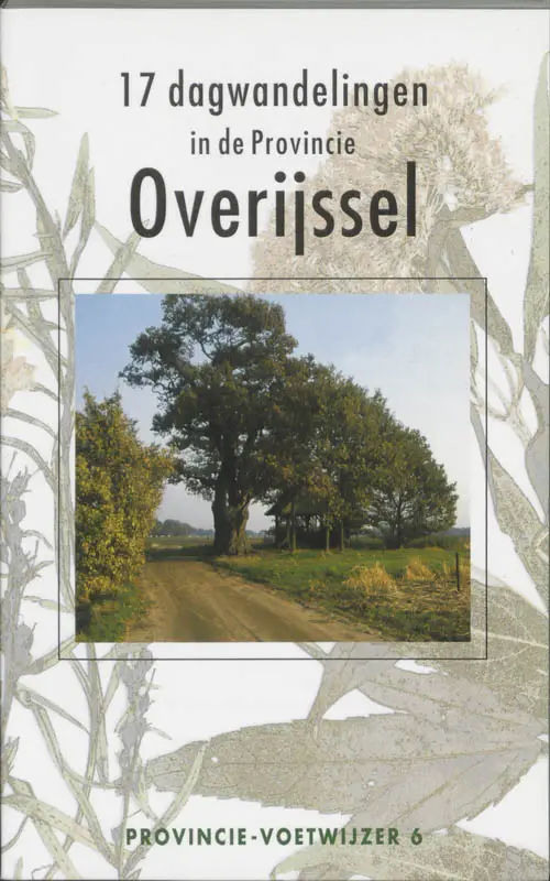 Provincie-voetwijzer overijssel