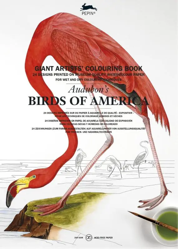 Audubon's Birds of America