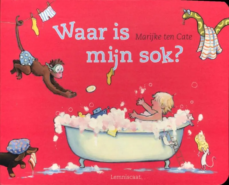 Waar is mijn sok kartonboek  / druk 1