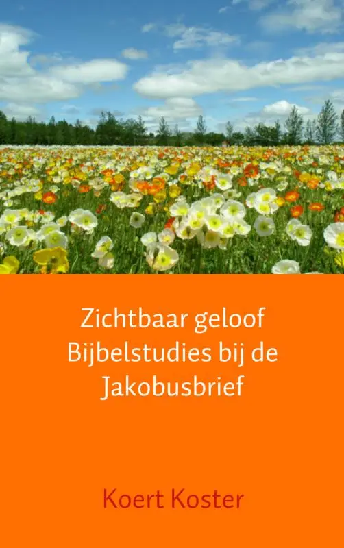 Zichtbaar geloof bijbelstudies Jakobus