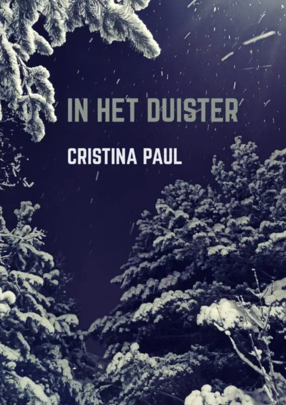 In het duister