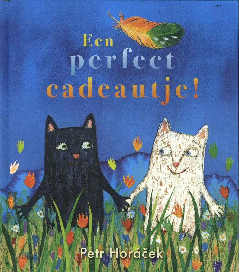 Een perfect cadeautje !