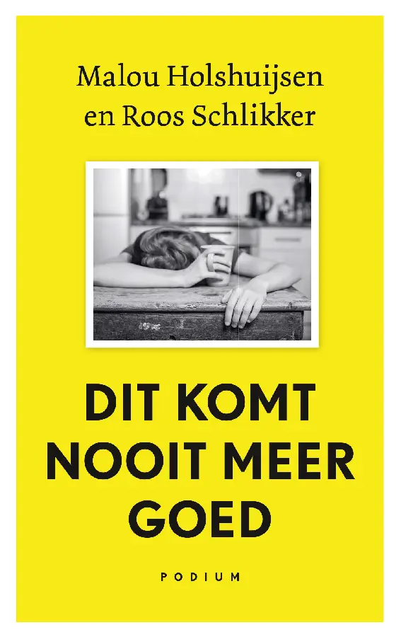 Dit komt nooit meer goed